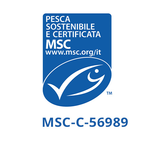 msc