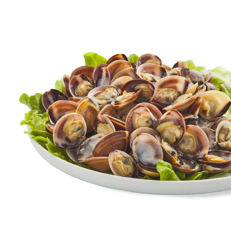 vongole del pacifico