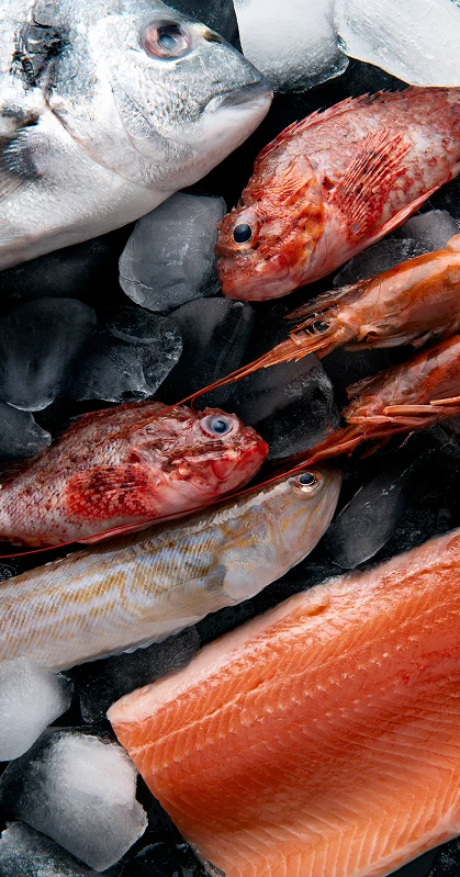 pesce surgelato e congelato