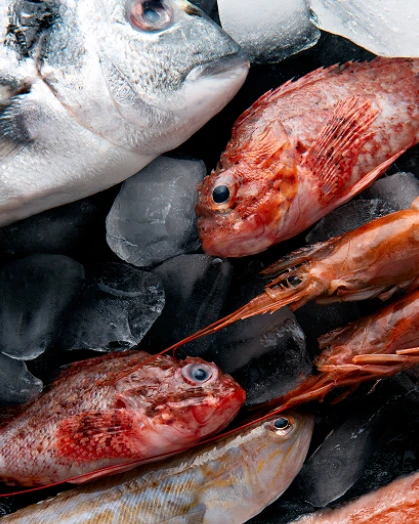 pesce surgelato e congelato